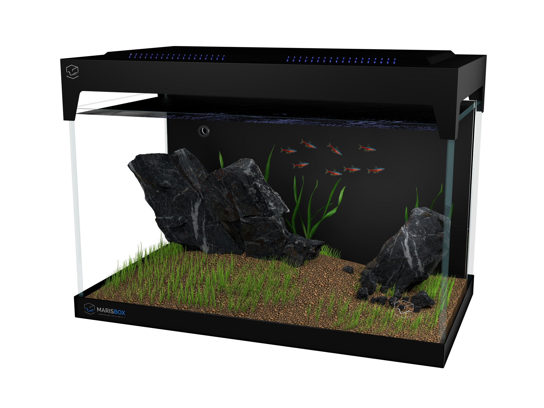 Tank 01 Iwagumi Daylight aquascape