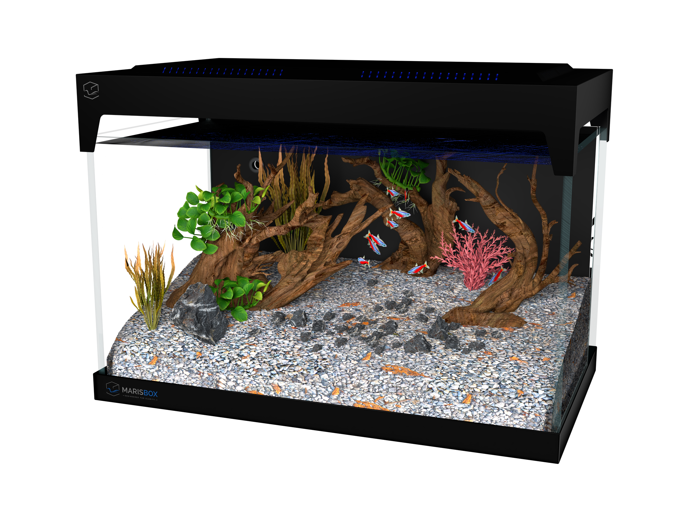 Tank 02 Driftwood and Rock Daylight aquascape