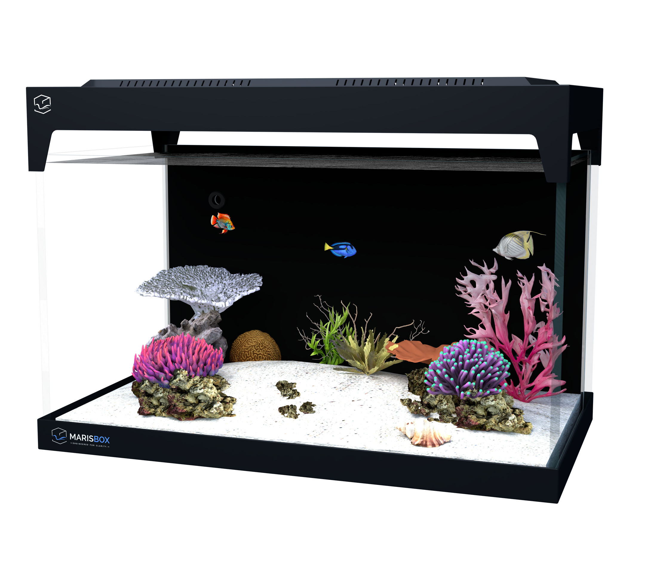 FusionMaris M45 PLUS Living Reef daytime marine environment