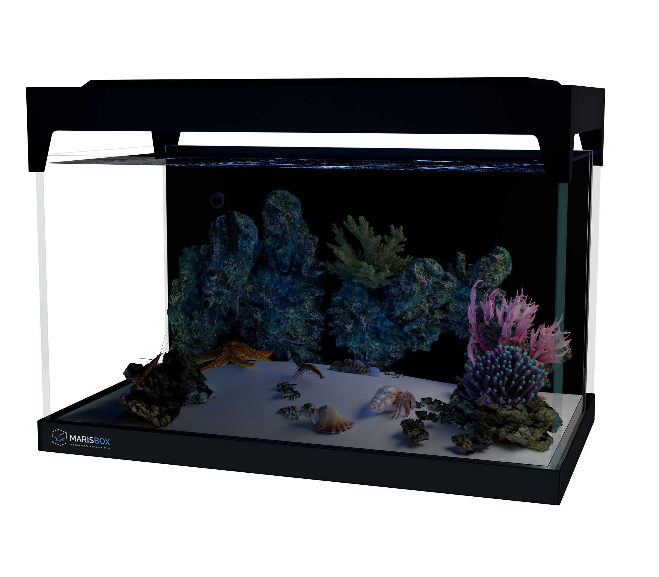 FusionMaris M45 PLUS Living Reef nighttime marine environment